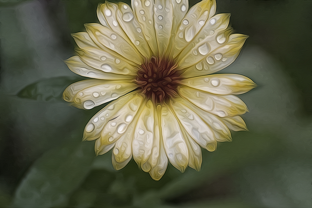 001 KA7_0173 als Smartobjekt-1 Kopie als Smartobjekt-1 kopieren.jpg